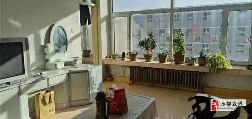 樂都1月6日精品房源速遞 精選住房出租，不容錯過！