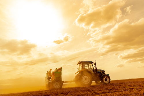 光影映照豐收景 集團八幅作品在農墾漁業畜牧系統職工攝影賽中斬獲殊榮